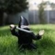 Ninja gnomo da giardino