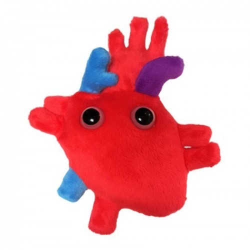 peluche neurone