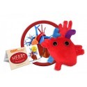 Cuore anatomico peluche microbi giganti