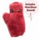 Peluche cardiomiocita cellula cardiaca