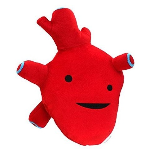 Peluche Gigante Cuore Organi Interni