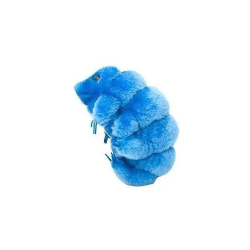 Portachiavi peluche Tardigrado