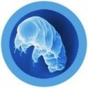 Portachiavi peluche Tardigrado