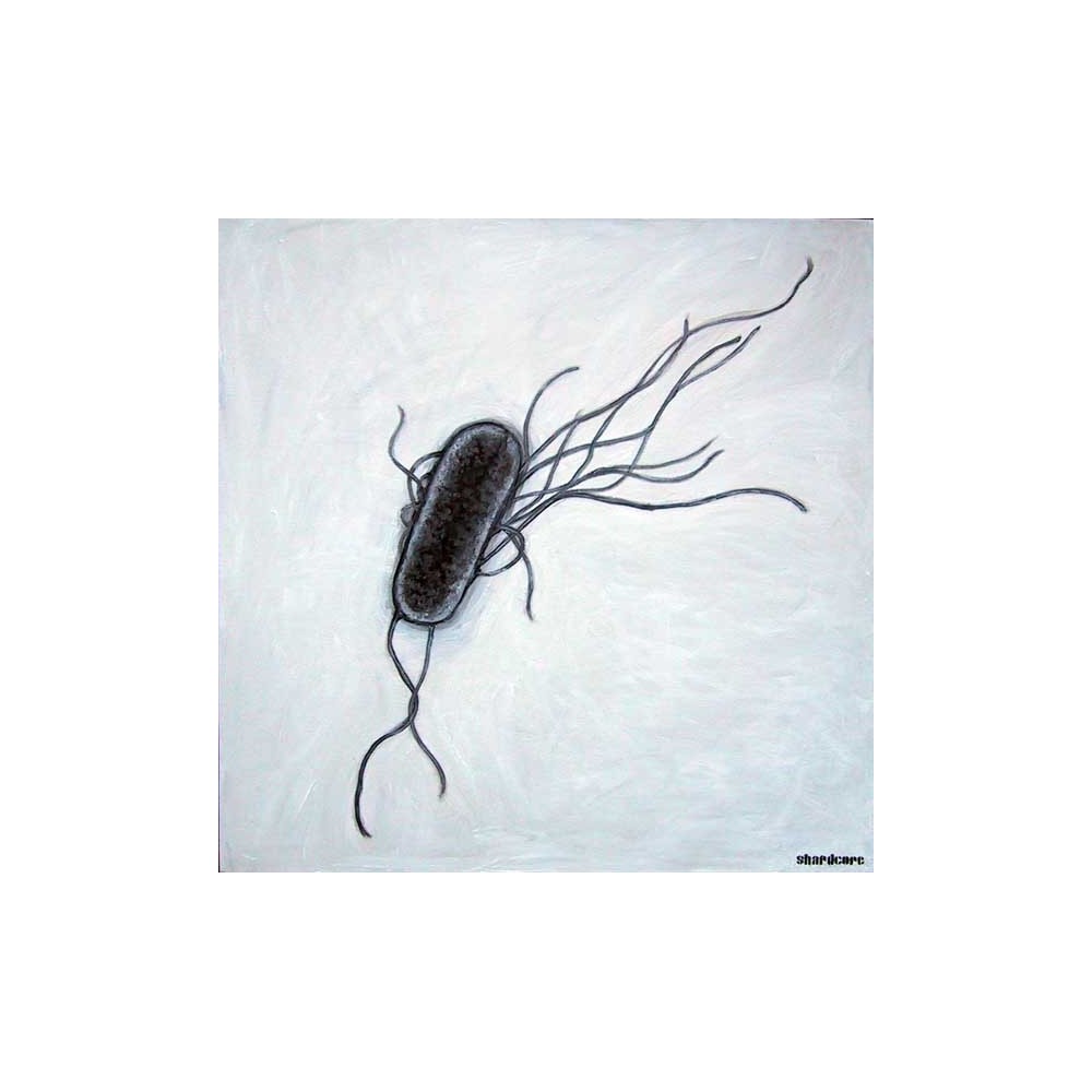 escherichia coli peluche