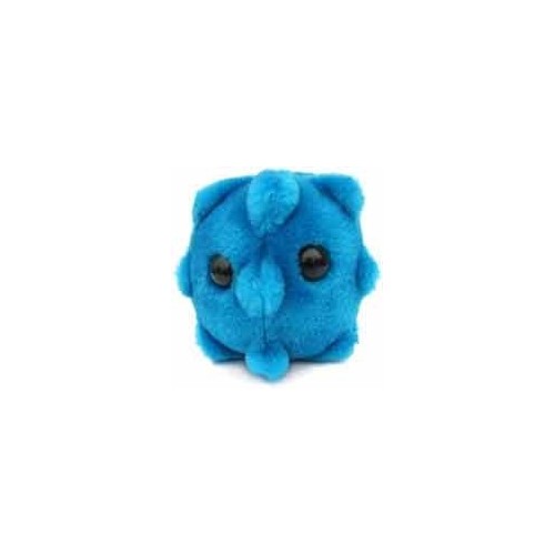 Microbi Giganti RAFFREDDORE Rhinovirus