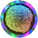 Microbi Giganti CELLULA STAMINALE