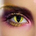 Lenti a contatto colorate Occhi di Gatto giallo