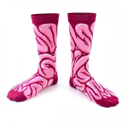 Calzini unisex intestino