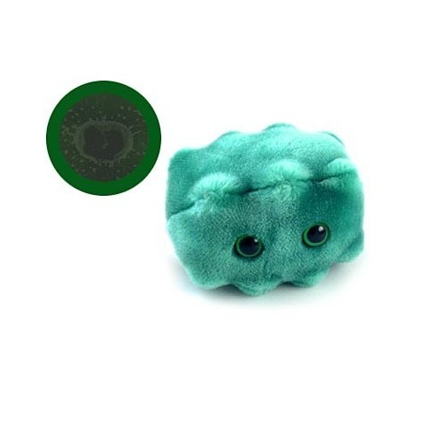 Microbi Giganti Alitosi