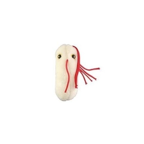 Microbi Giganti Salmonella