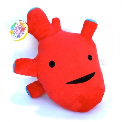 Peluche Cuore Organi Interni Big