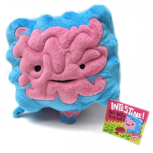 Peluche Intestino Organi Interni Big