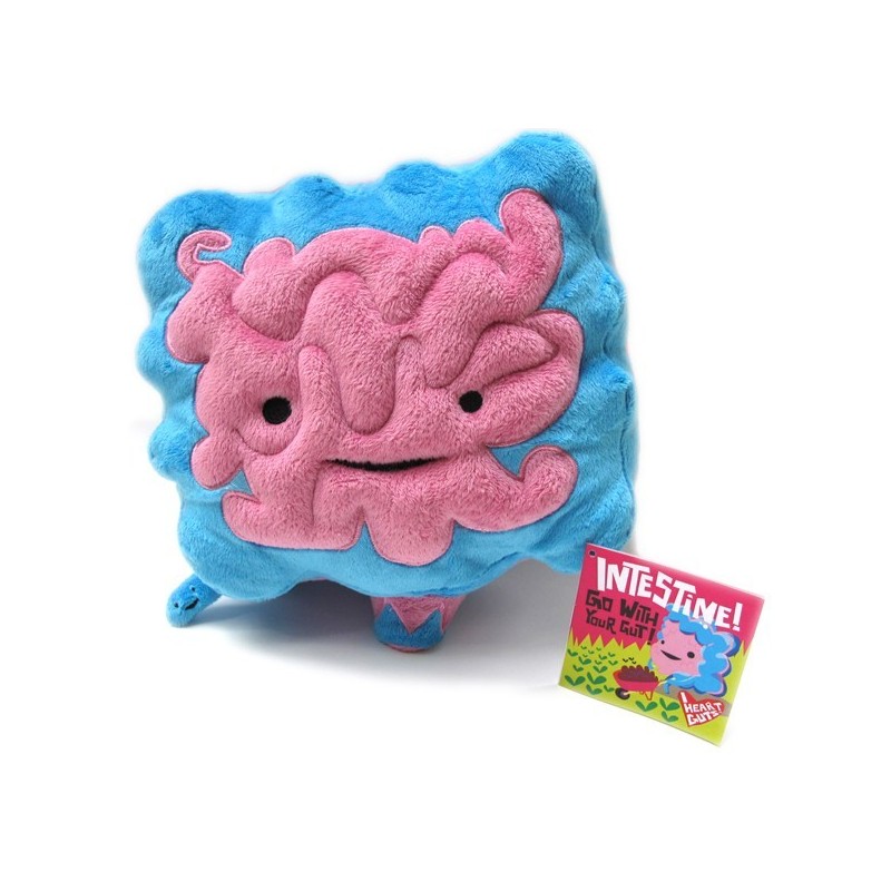 Peluche Intestino Organi Interni Big