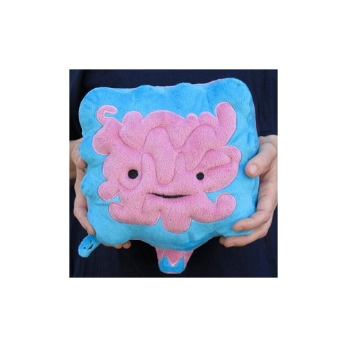 Peluche Intestino Organi Interni Big