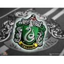 Harry Potter magnete frigo logo Serpeverde