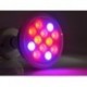 Lampada a led per la crescita vegetale coltivazione indoor