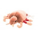 Microbi Giganti Piattola Pidocchio del Pube