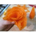 Tempera carote lo sbuccia verdura per decorare